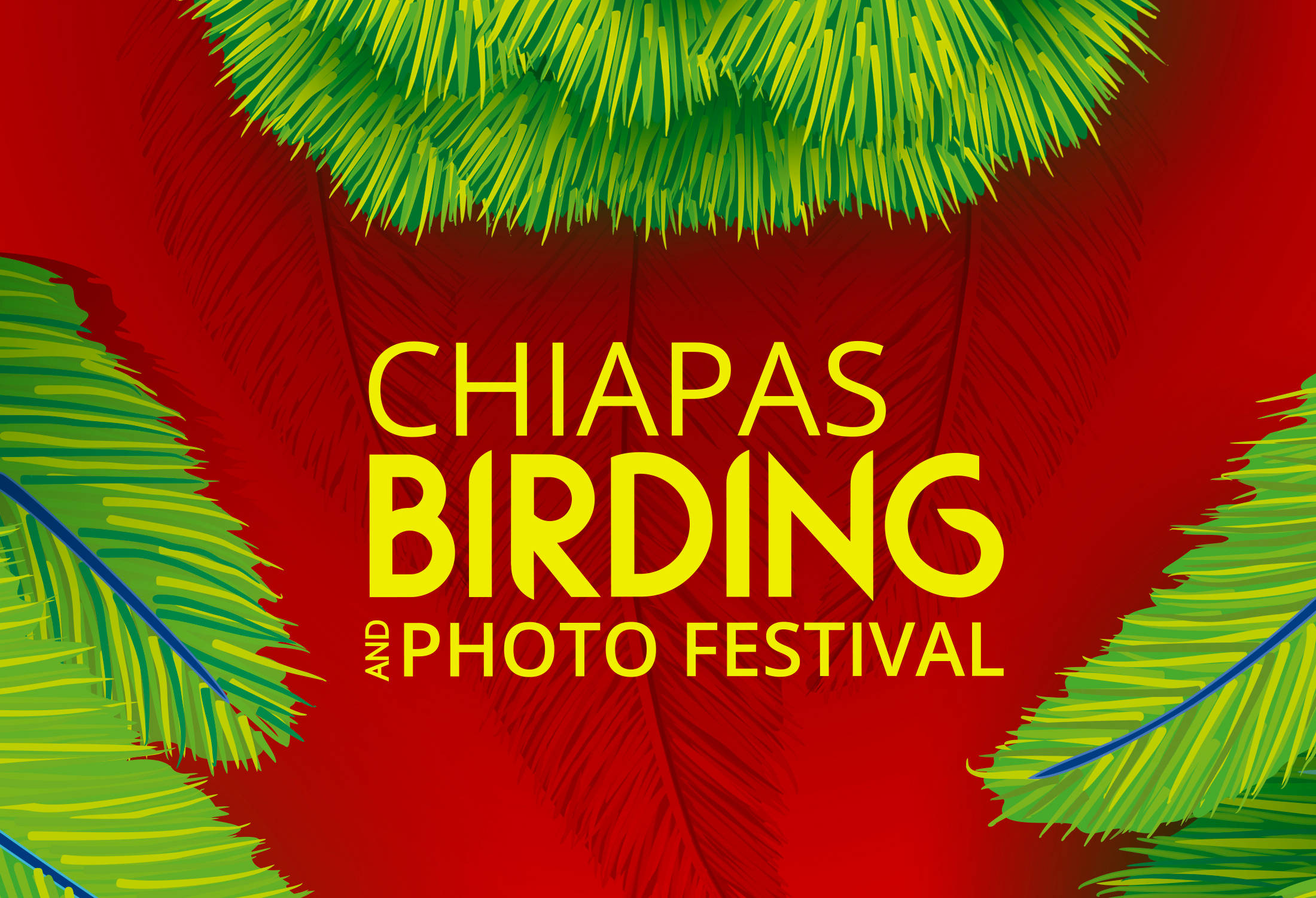 CHIAPAS BIRDING