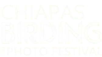 Chiapas Birding Festival