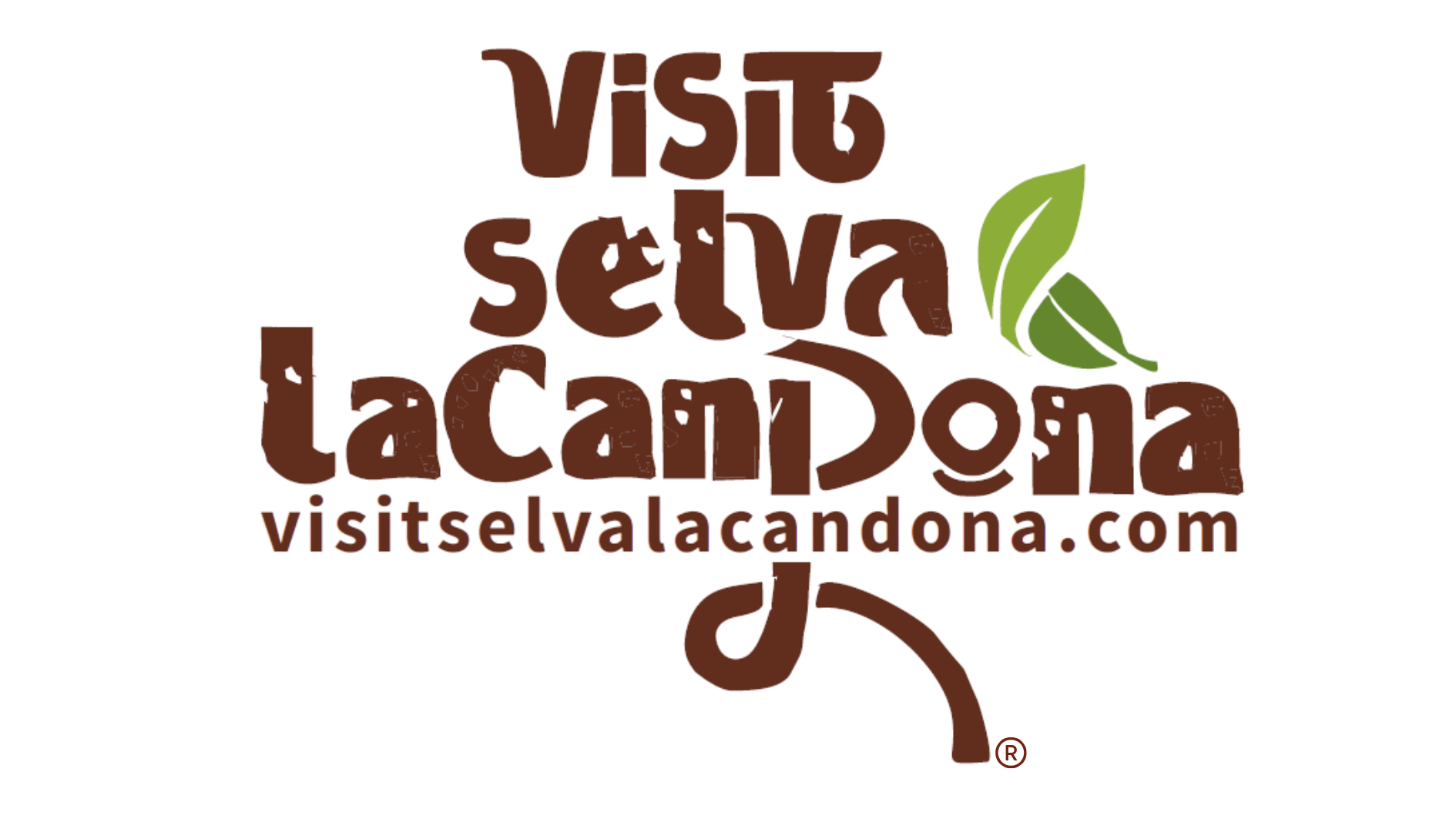 Visit Selva Lacandona